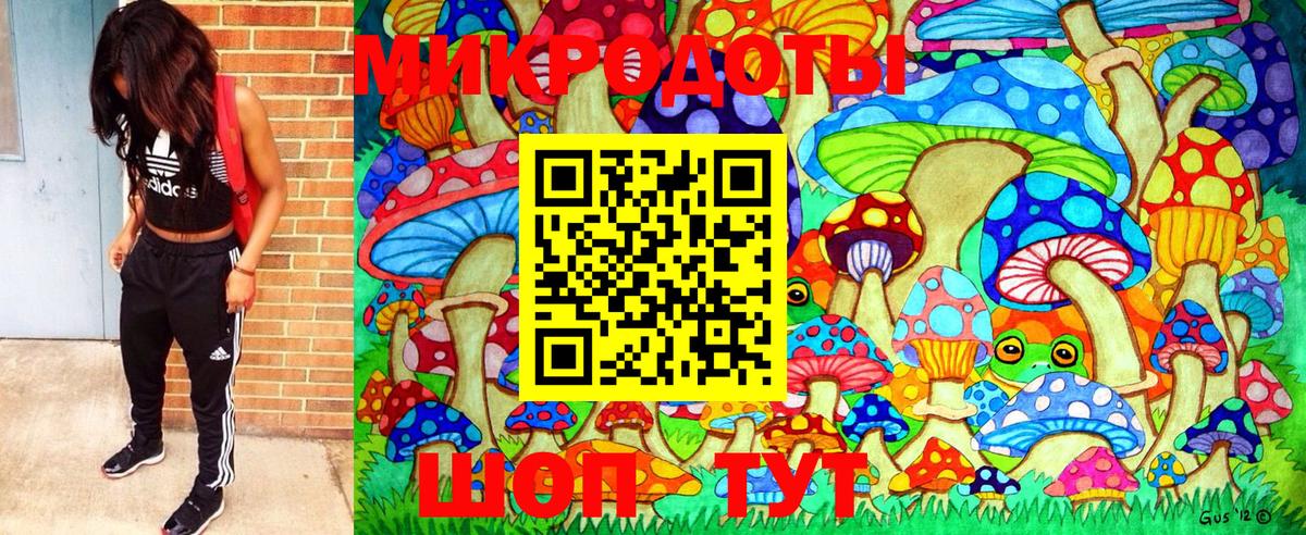 Галлюциногенные грибы Magic Shrooms  Вход с VPN  Волгоград 